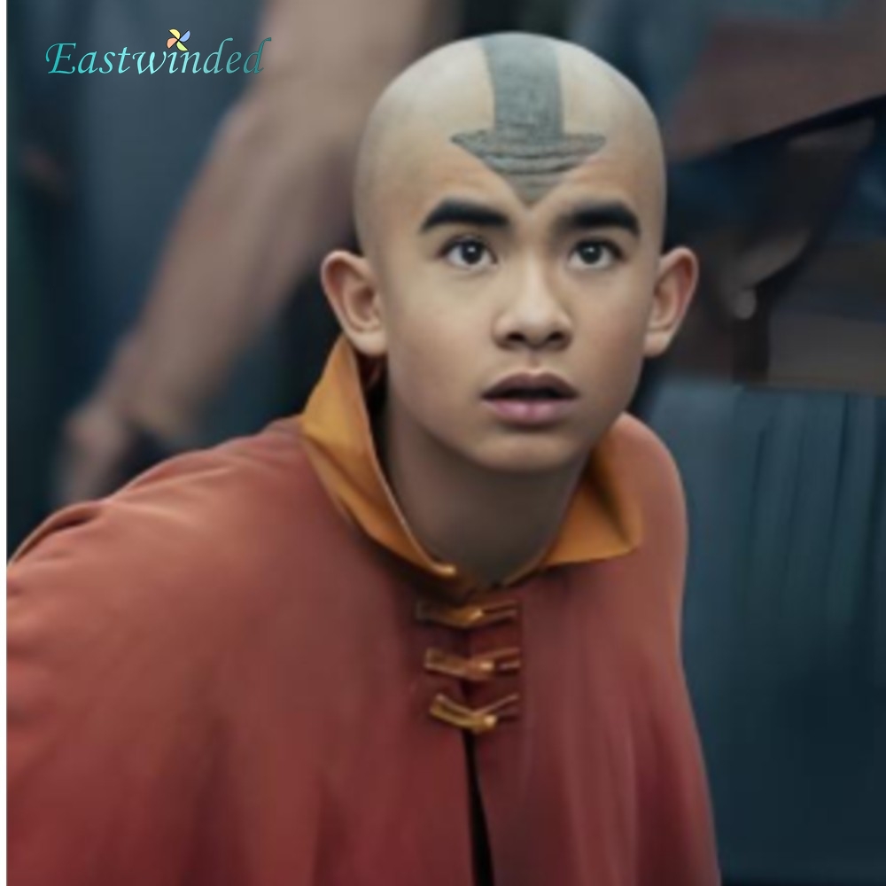 Avatar of Last Cosplay Airbend - огляд і ціна Cosplay Avatar Anime